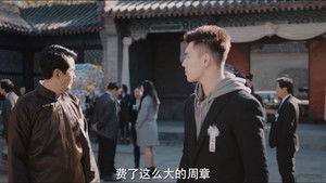 Black Snakes & White Dragons—Hierarchies in Nature