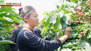 Ethnic Minorities Leading the Coffee Rush: Yunnan, China