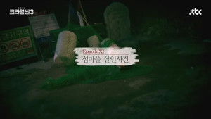 The Island Village Murder Case