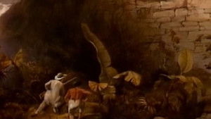 Lost Cities of the Amazon