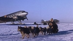 Tales From Antarctica