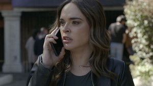 Dos pájaros de un tiro