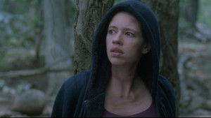 The King of the Jungle