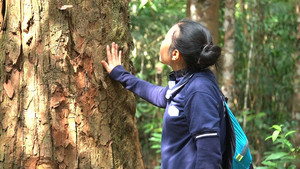 Sustainable Forest Living in Laos