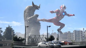 Live Coverage! The Monster Transport Operation