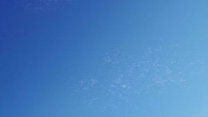 Mossa a sorpresa di Darius