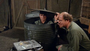 Rally 'Round the Flagg, Boys