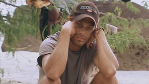 Crazy Fights, Snake Dinners