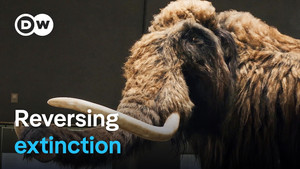 Should we bring extinct species back to life?