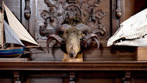 Blood on Their Hands