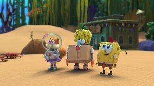 A Cabin of Curiosities