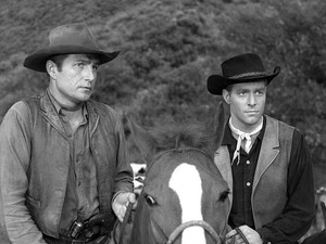 Incident of the Murder Steer