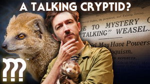 The Freaky Case of Gef the Talking Mongoose