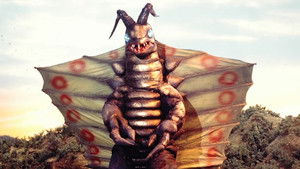 Decisive Battle Under The Setting Sun