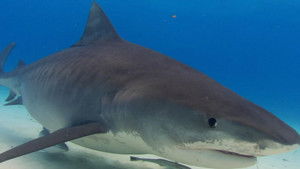 10 Minutes of Terror