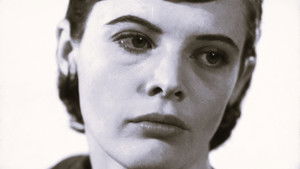 Only by Cunning Glimpses