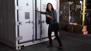 Chain of Authenticity