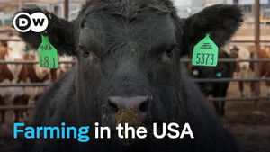 Agribusiness in the USA - The dark side of productivity and profitability