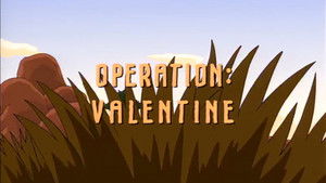 Operation Valentine