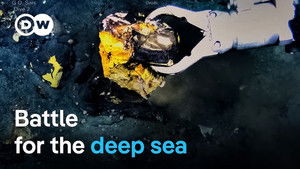 Deep sea mining: What’s the true cost of renewable energies?