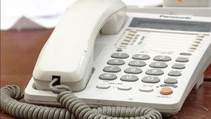 729 Podrška dijaspore