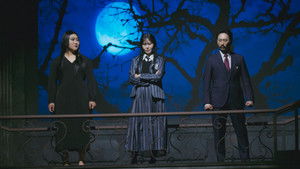 The Curtain of Revenge Rises