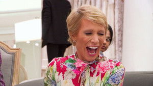 There's a Shark in the Salon!