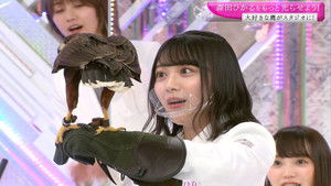 Let the new centre, Hikaru Morita, shine brighter!