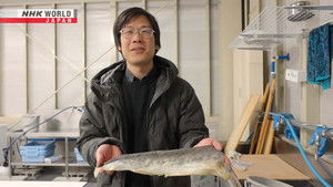 Fish Leather Maker - Noguchi Tomohisa