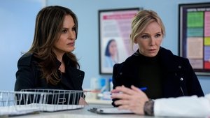 Accomplice Liability