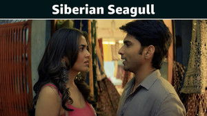 Siberian Seagull
