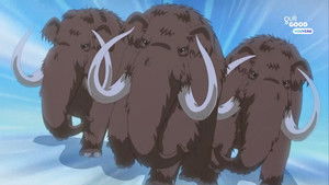 What Woolly Mammoth