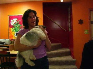 Sugartime! (Hinesburg, Vermont)