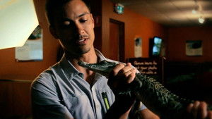 Darwin Northern Territory