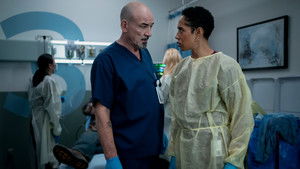 The Tunnel Under the Elms