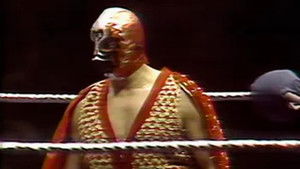 Madison Square Garden: Dec. 19, 1977