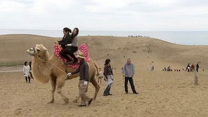 The Call of the Dunes