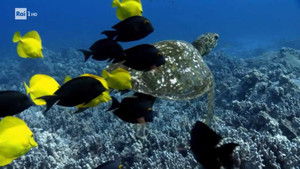 Resistant bacteria, the Entracque dam, expeditions and lunar bases