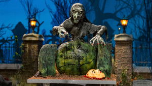 A Coven Of Confections