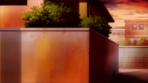 The Battle of the Rings Begins!