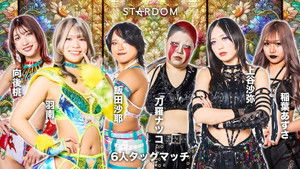 Stardom in Toyama 2025