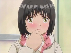 The Festival, fireworks and...