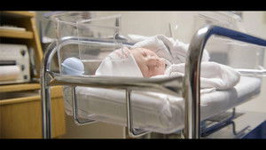 How to Have an American Baby