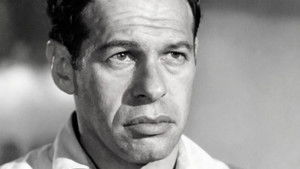 Hey Moth, Come Eat The Flame