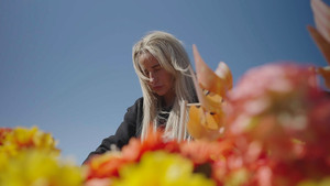 A Shooting in Aintree