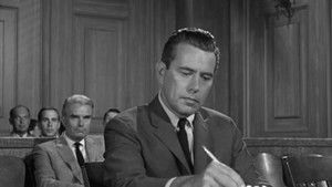 I Saw the Whole Thing