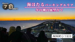 Seeing Out 2020 in the Heart of Tokyo Bay