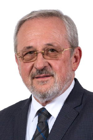 Ivica Šarić
