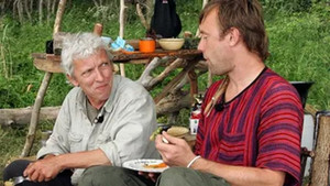 En råbuk i Østjylland