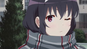 The New Plan of Revenge